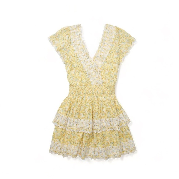 AEO Floral  With Embroidery Wrap Mini Dress - Picture 2 of 6